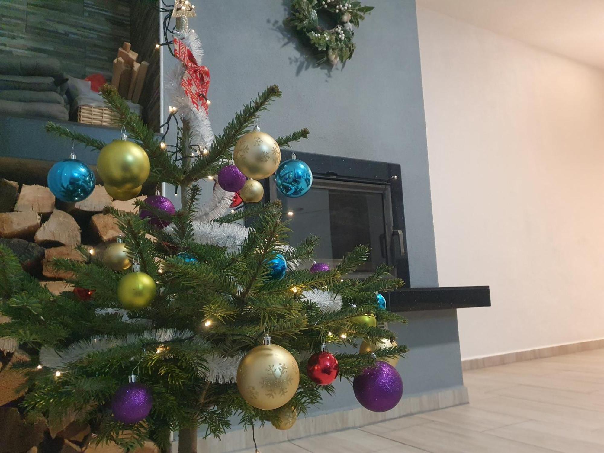 Apartmany Lipnoczech Фримбурк Екстериор снимка