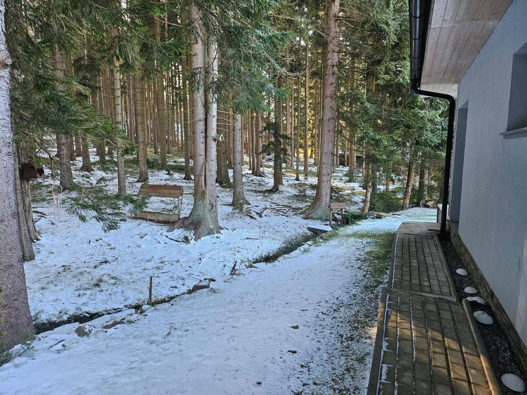 Apartmany Lipnoczech Фримбурк Екстериор снимка